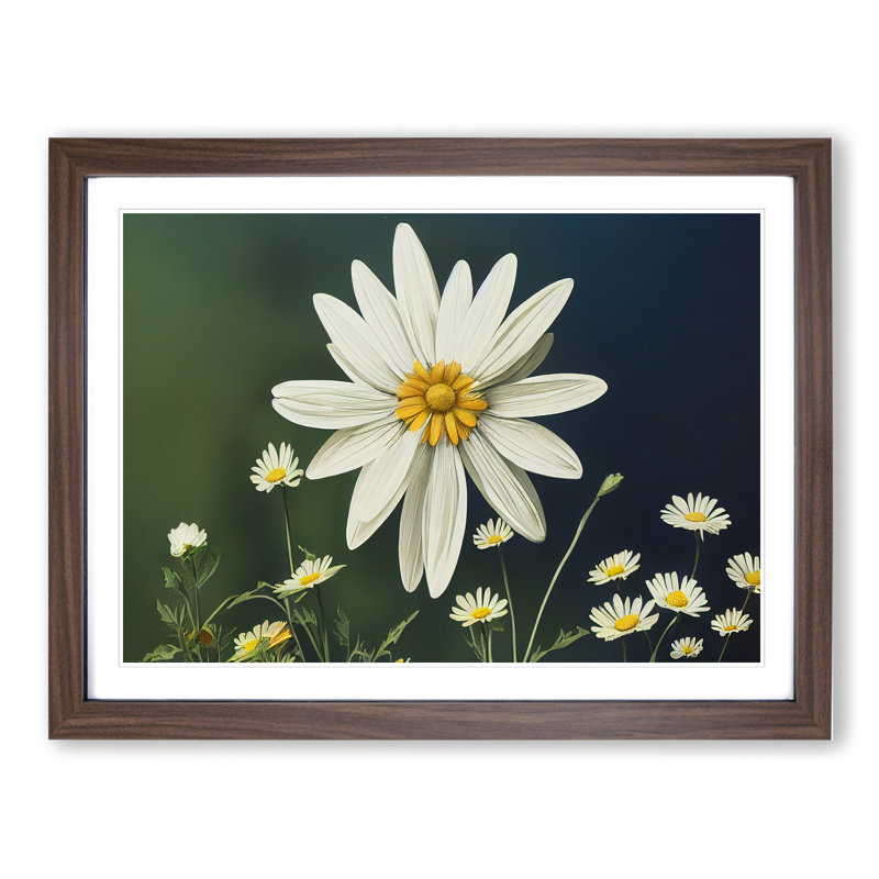 Sparkling Daisy Flowers - Framed Print, 46cm H x 64cm W x 2cm D, Walnut