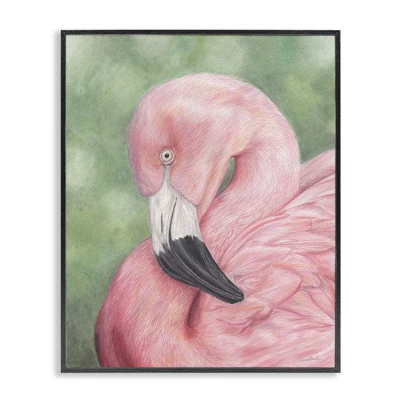 «Blush Flamingo Visage», estampe numérique par Connie Resch, Giclée encadrée noir minuit, H 14 po x l 11 po