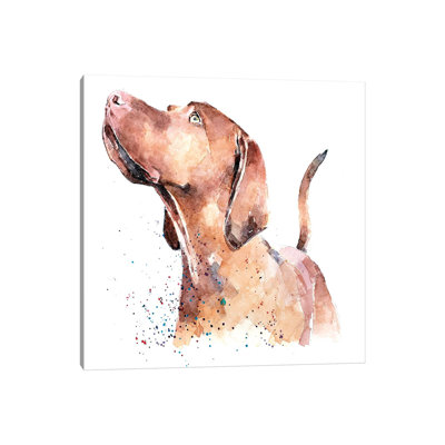 " Vizsla Looking Up " Painting Print