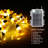 117.6'' String Lights