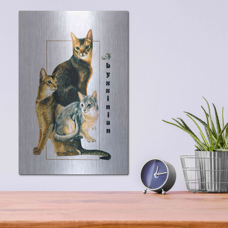Abyssinien par Barbara Keith - reproduction sur métal, L 12 po x H 16 po x P 0,13 po