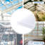 6Pcs Polycarbonate Panels-126485952