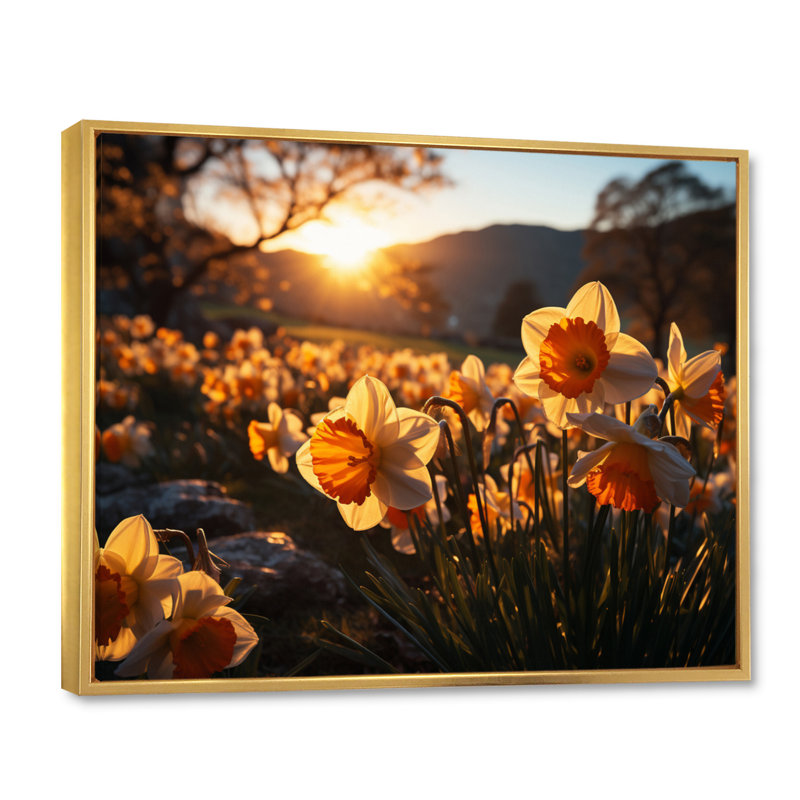 Daffodils Field Sunrise III - Floral Wall Art Prints, Cadre flottant doré, H 16 po x l 32 po