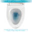 Toilette en céramique une pièce - chasse d'eau à siphon, siège à fermeture douce, haute, faible absorption d'eau, blanc, chasse d'eau robuste, conception moderne, assise confortable, blanc