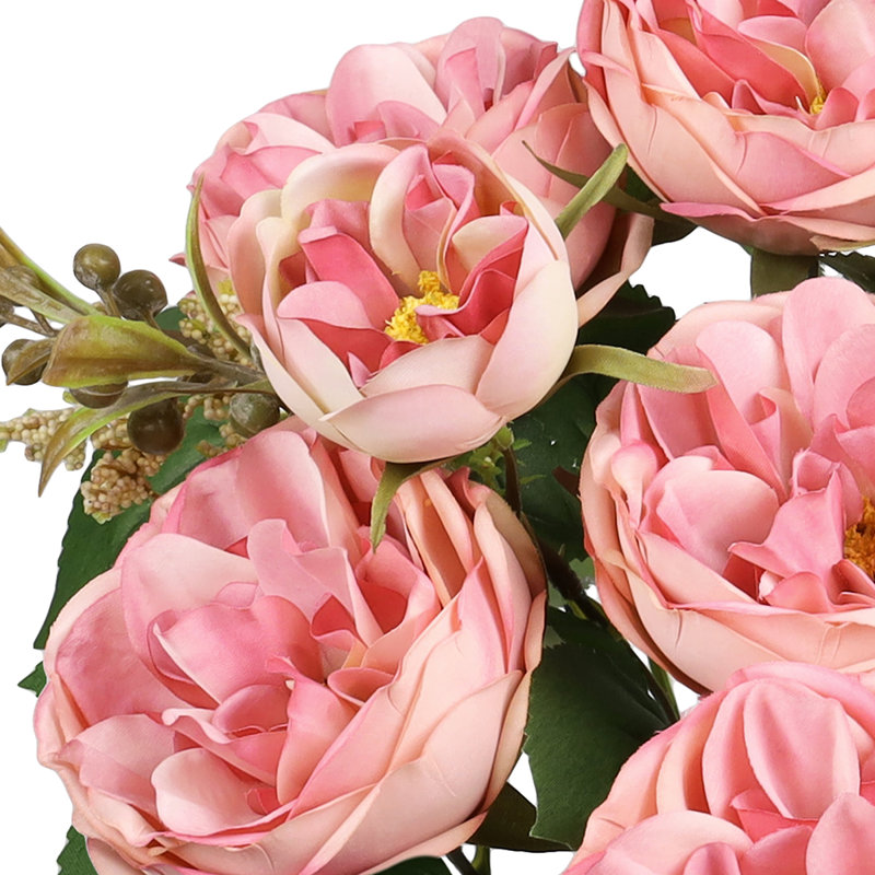 Chou rose, Rose