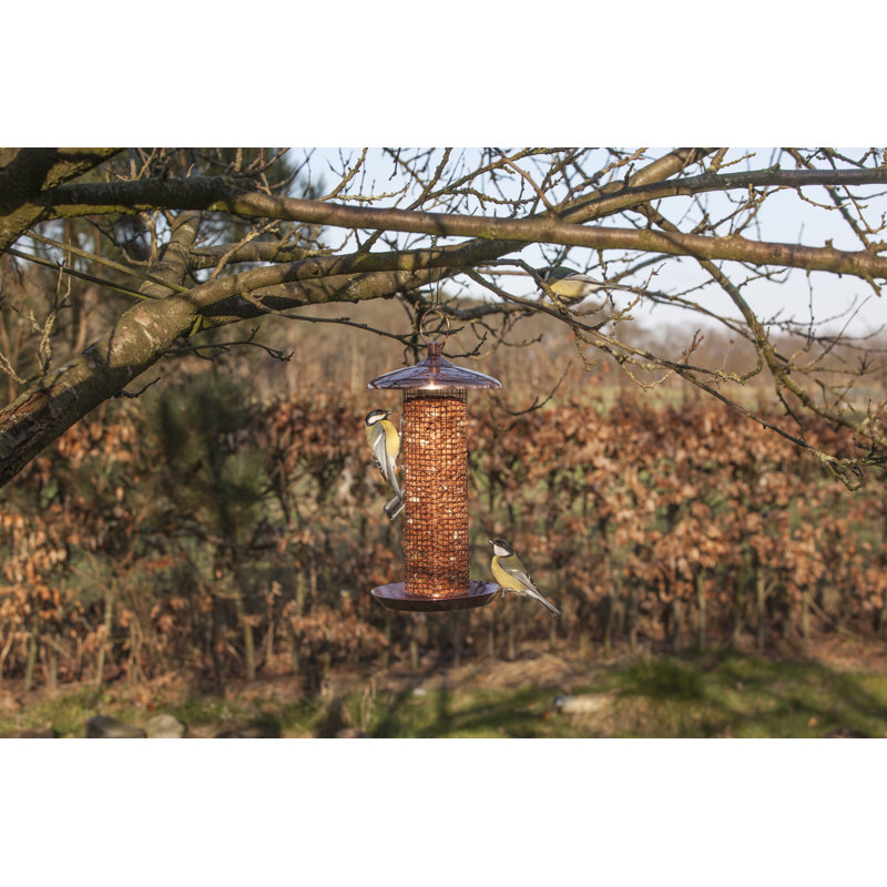 Copper Nut Feeder