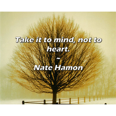 Nate Hamon Quote: Take it to mind, not to heart.