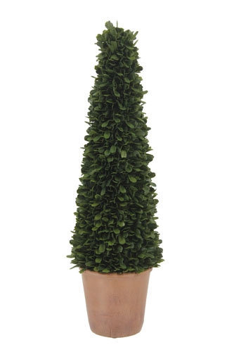 24" Artificial Boxwood Plant in Tapered Pot