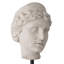 Venus Head On Stand Set Of 2