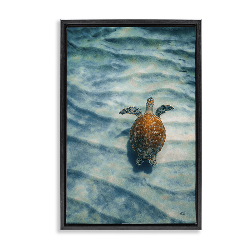  Tortue le long du sable flottant sur toile par Max Blakesberg Studios, H 25 po x l 17 po, Cadre flottant noir de jais