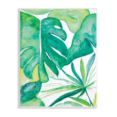 Feuilles de jungle vertes et tropicales avec plantes de Monstera