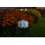 Soji 11'' Solar Powered Integrated LED Globe Lantern-92541069
