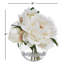 BLOOMS Cream Peonies in Glass Vase