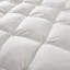 Insert de couette en plumes d'oie blanches toutes saisons avec housse en coton 300TC -476665363