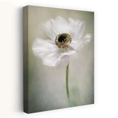 Contemporary Art Contemporary Flower Spring Art