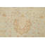 Raama One-of-a-Kind 5'7'' X 7'9'' New Age Wool Area Rug in