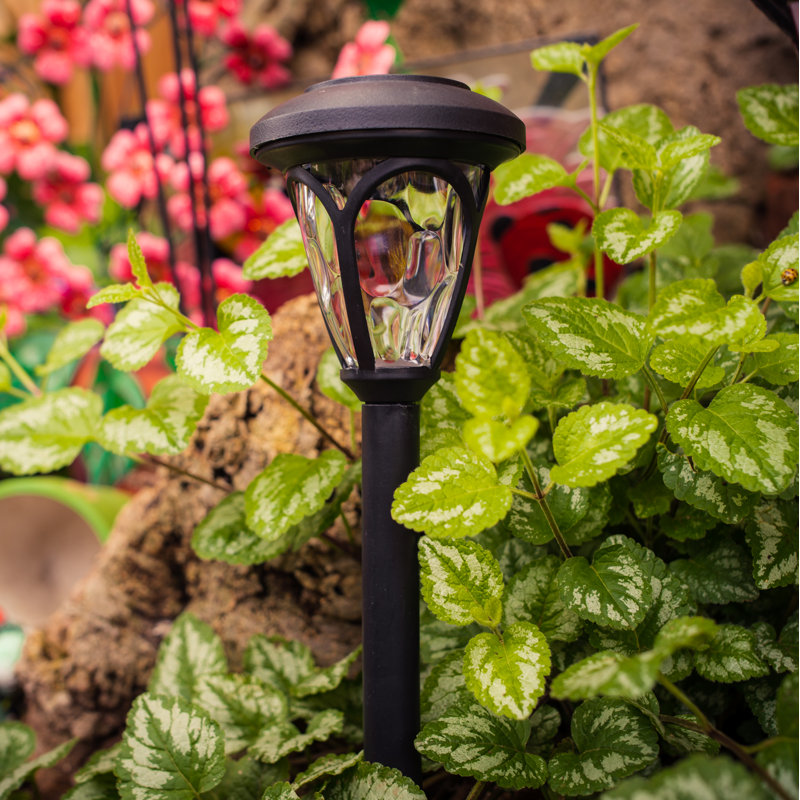Solar Powered Pathway Light