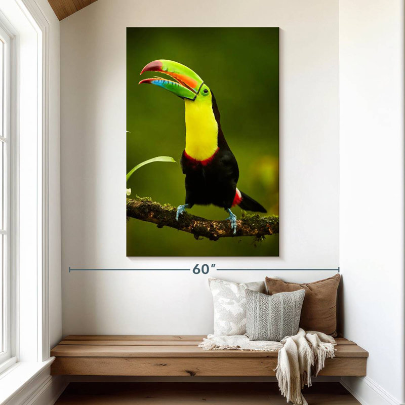 Brampt Rainbow Billed Toucan, 51" H x 34" W