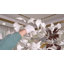 Lustre en ginkgo à 6 lumières Miljana-223985714