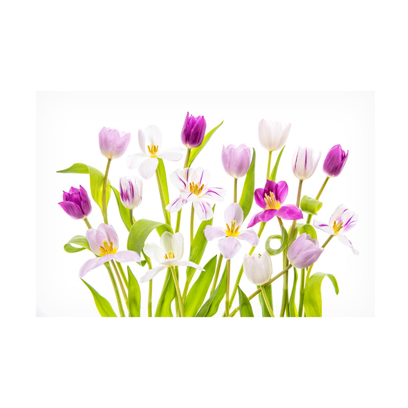 Tulipe printanière sur toile, H 22 po x l 32 po x P 2 po
