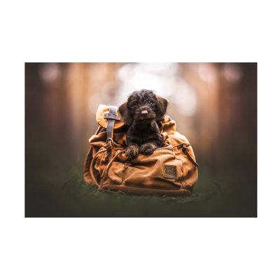 Art sur toile Natalie Grosse Adventure Buddy