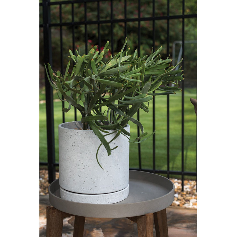 Pot de fleurs en béton, H 11,25 po x l 11 po x P 11 po