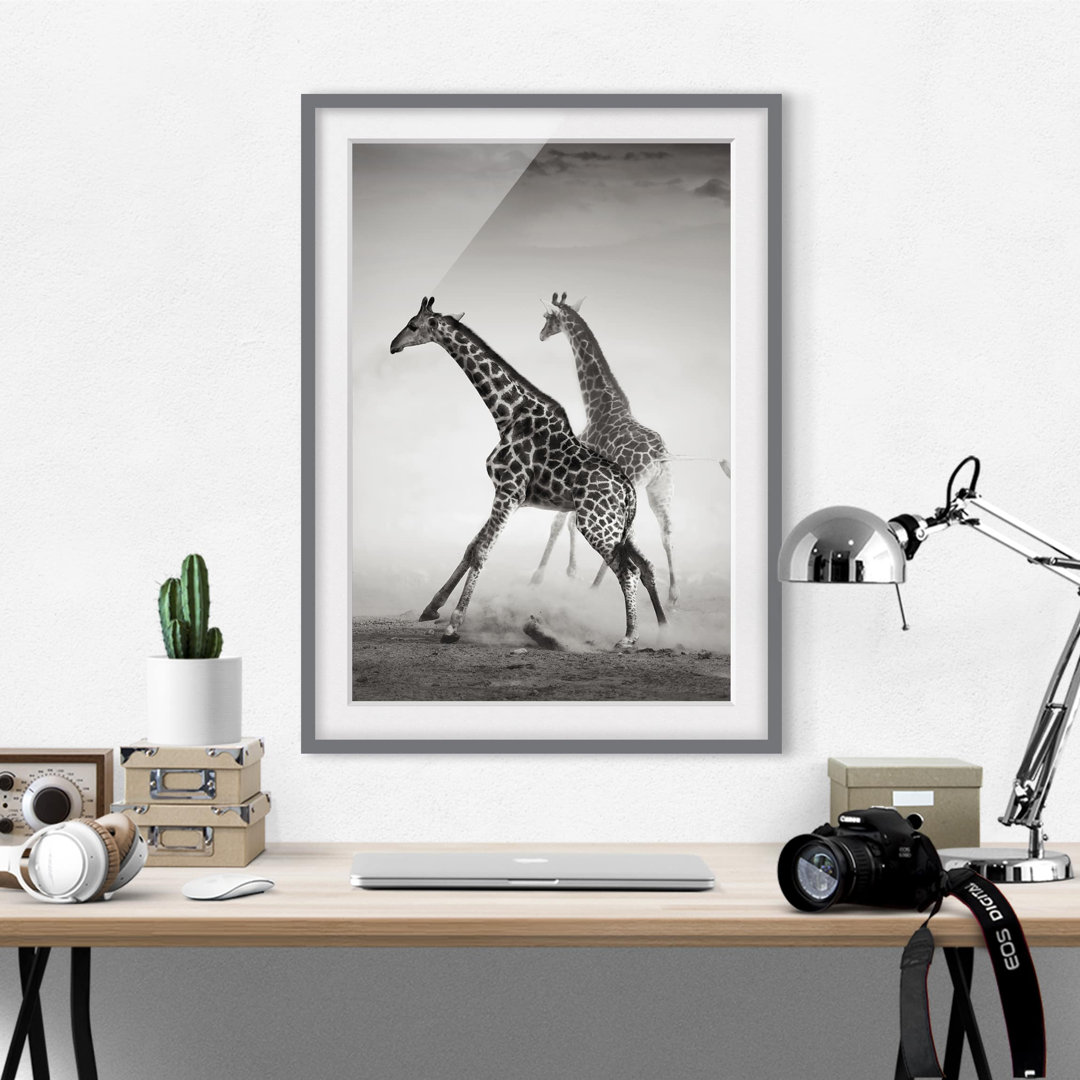 Gerahmtes Papierbild Giraffenjagd