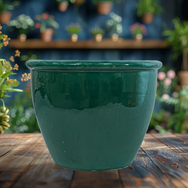 Jardinière ronde en céramique Berlina Imperial - vert foncé - 14,5 po, H 11,25 po x l 14,5 po x P 14,5 po, Vert foncé