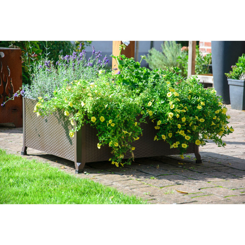 Metal Elevated Planter