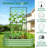 Galvanized Raised Garden Bed With 71In Arch Trellis For Climbing Plants-1934175714