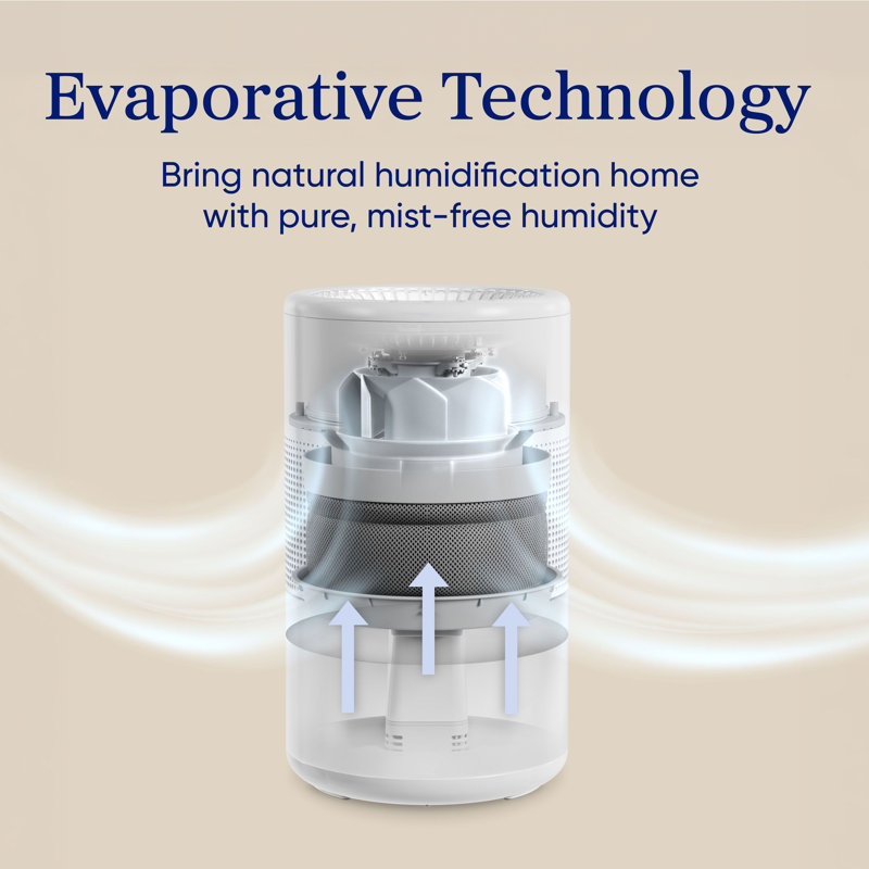 Levoit Superior Studio Smart Evaporative Humidifier