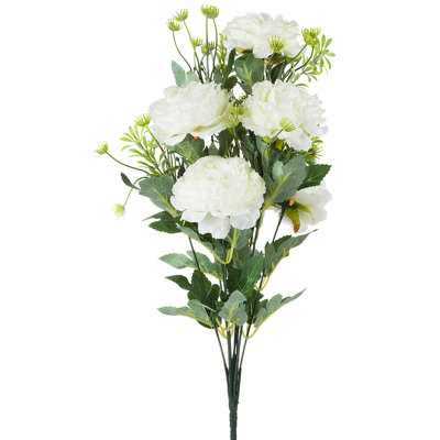 Tiges de pivoines