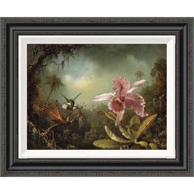 " Orchid With Two Hummingbirds " by Martin Johnson Heade
