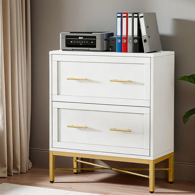 Classeur de bureau, classeur à 2 tiroirs, armoire de rangement au design épuré, Blanc