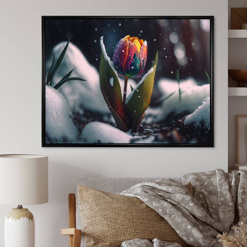 «A Blooming Multicolor Tulip Flower in Winter I», impression sur toile, H 30 po x l 40 po x P 1,5 po