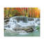 Wall Art on Canvas-1232061008