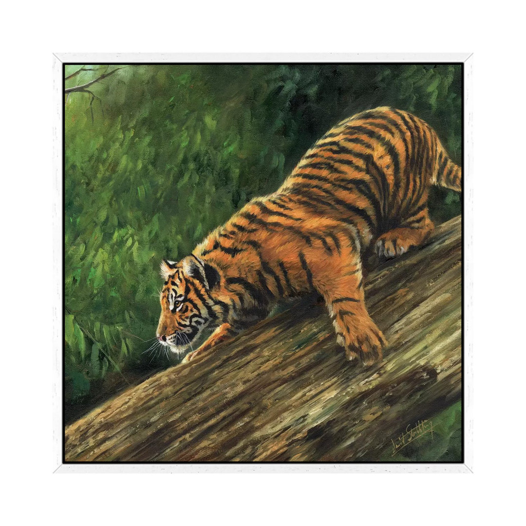 Tiger In Tree von David Stribbling - Galerie-umwickelte Leinwand Giclée