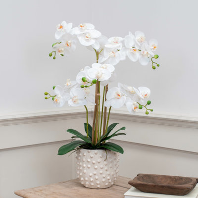 Arrangement