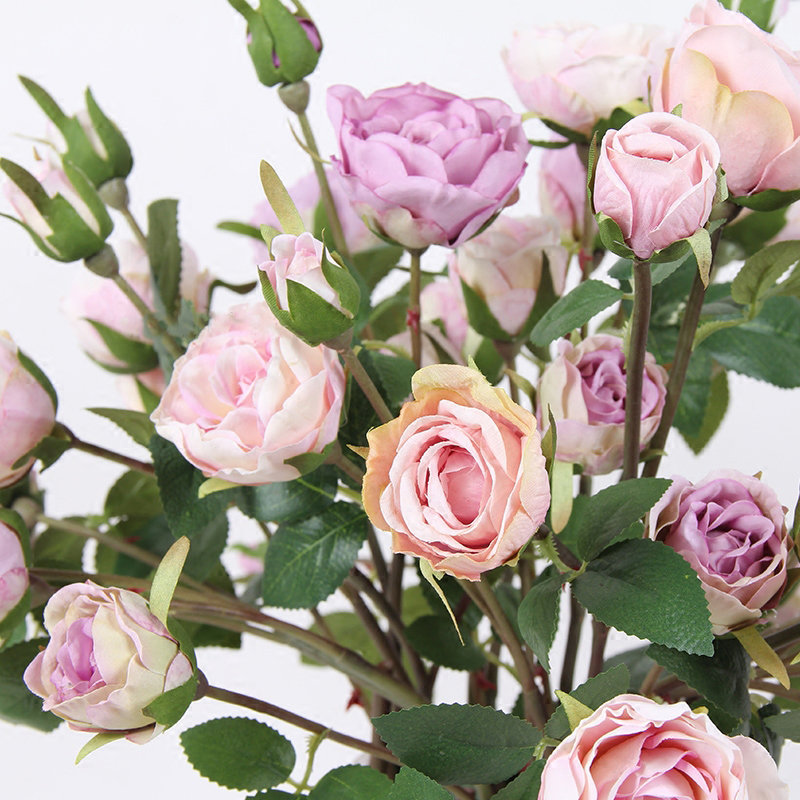 Tige de rose rose, Rose clair