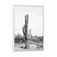 «Desert Cactus Blush» par Sissi et Seb - impression d'art graphique-54948999-54949000-54948992