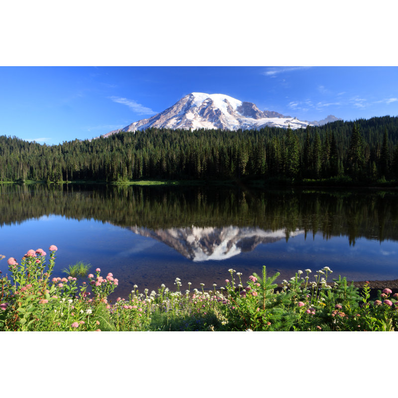 Mount Rainier by Jeremy Edwards - Wrapped Canvas Print, 81cm H x 122cm W x 3.8cm D