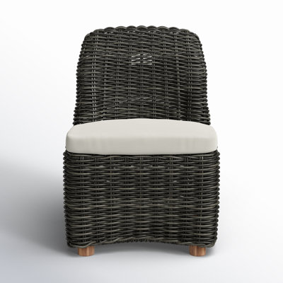 Dalva Polyethylene (PE) Wicker Wicker Outdoor Dining Side Chair with Cushion