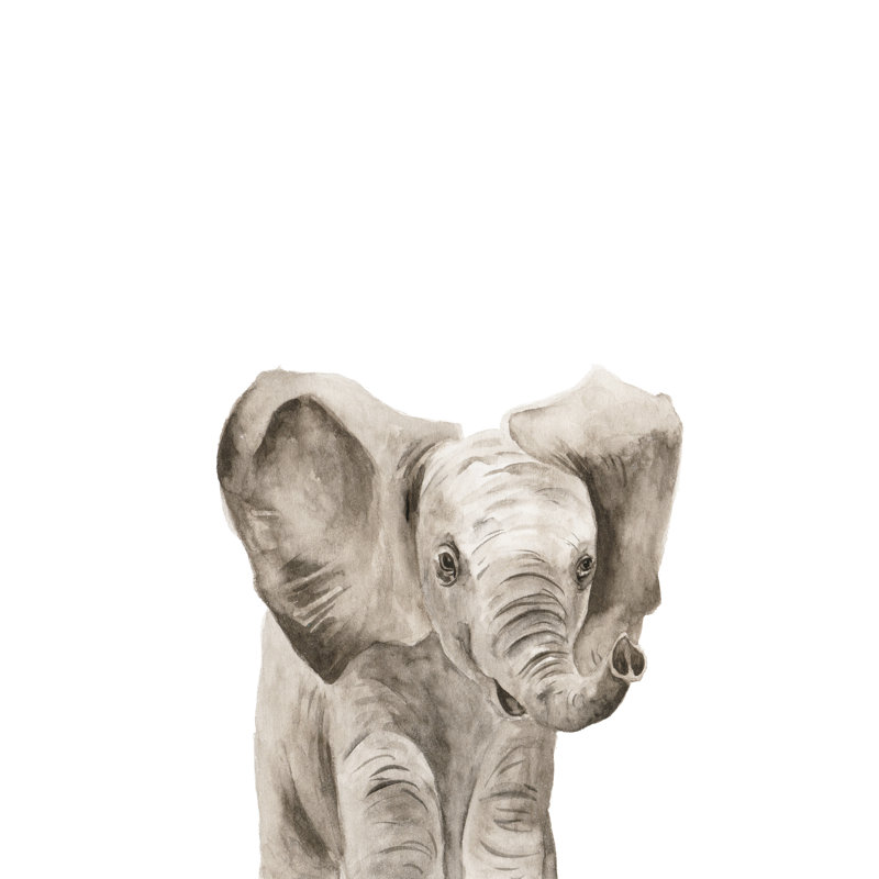 Safari Animal Portraits III by Melissa Wang - Painting, 46cm H x 30cm W, Black Floater Framed
