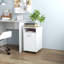 Makenzlie 33cm Wide File Cabinet-1184897536
