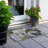 Machine Washable Indoor/Outdoor Segin ACN1117 Olive Rug-109490064
