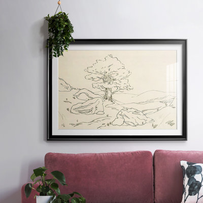 " Christchurch Oak II "
