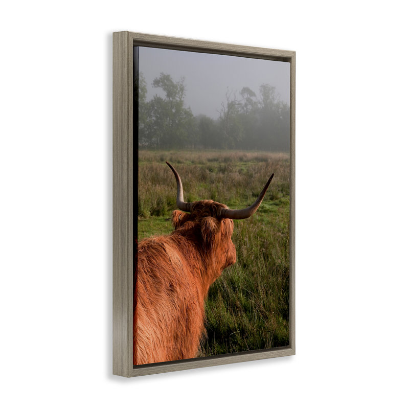 Cadre flottant Highland Cow Gazing Out, conception par Jenny Rainbow Fine Art, H 31 po x l 21 po