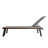 Absinthe Outdoor Metal Chaise Lounge Set