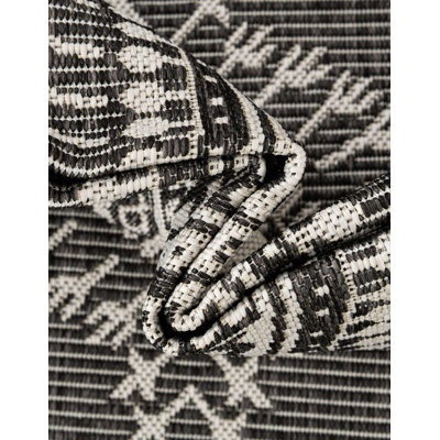 Indoor/Outdoor Traditional Area Rug