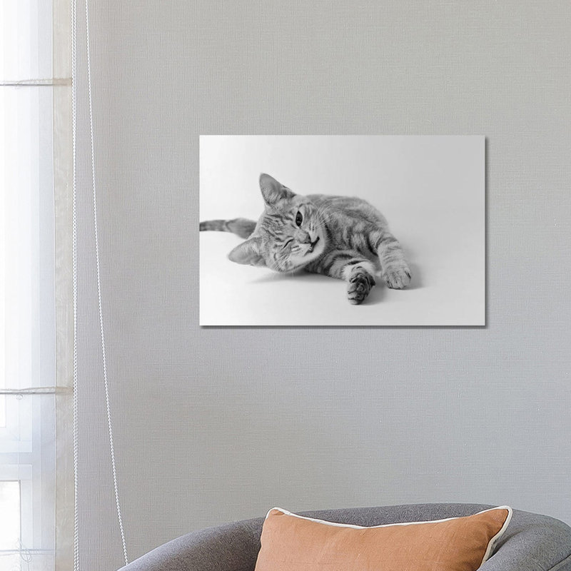 1970s Head On View Of Young Striped Cat Stretching For On Floor One Eye Closed Indoor - Wrapped Canvas Print